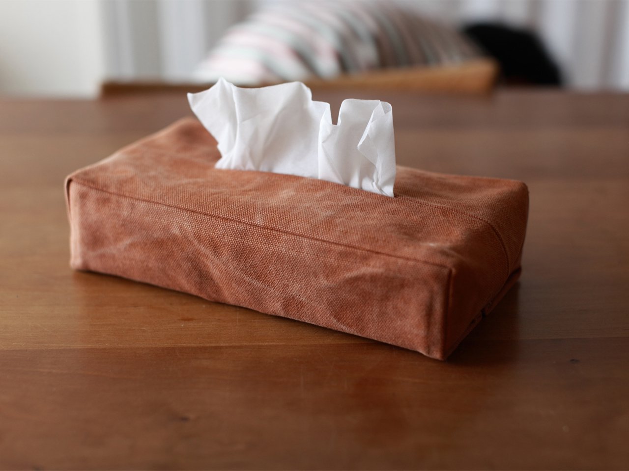 SANO tissue case
