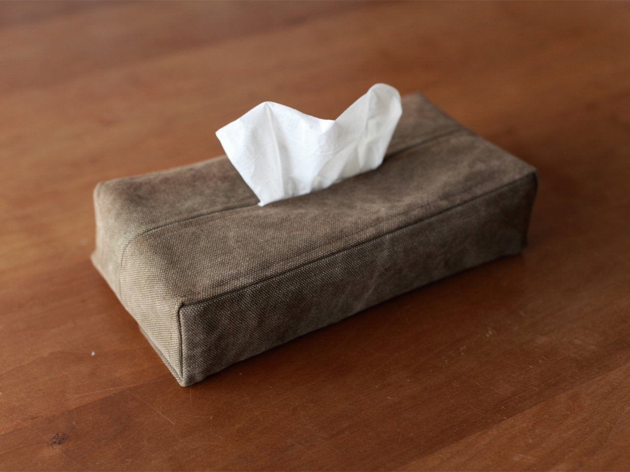 SANO tissue case